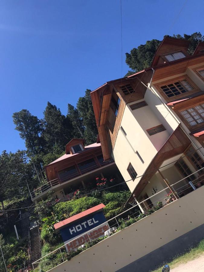 Hotel Heidinger Охапампа Екстер'єр фото
